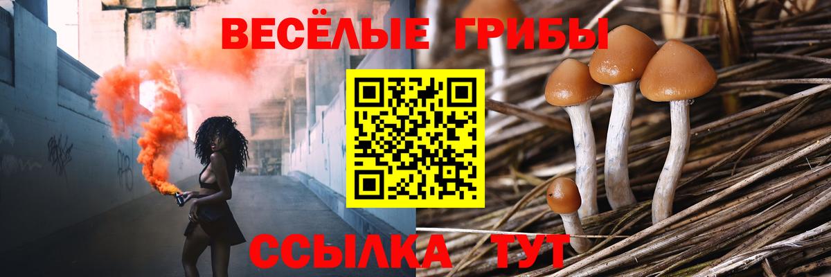 Галлюциногенные грибы Psilocybe  купить   Апшеронск  Псилоцибиновые грибы ЛСД  Вход с VPN 